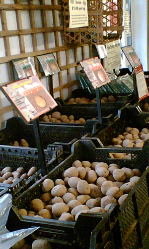 Seed Potatoes garden centre derby donington nurseries